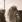people_img